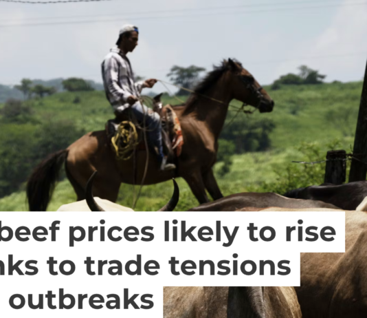 The U.S.-Mexico beef market has taken a massive hit from the screwworm parasite, which has spread from Mexico to Texas and New Mexico. AP Photo/Isabel Mateos, file